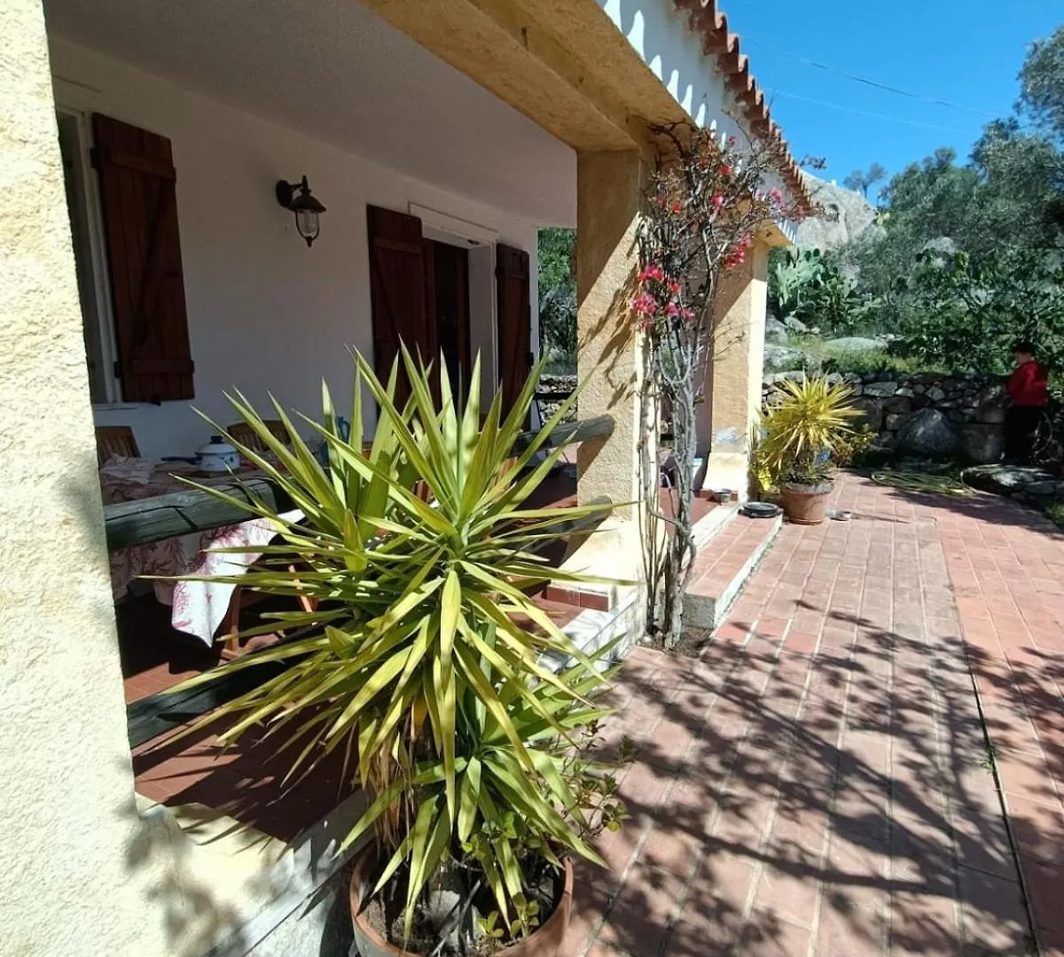 Villetta La Casa Vecchia Baja Sardinia Cala Bitta 펜션