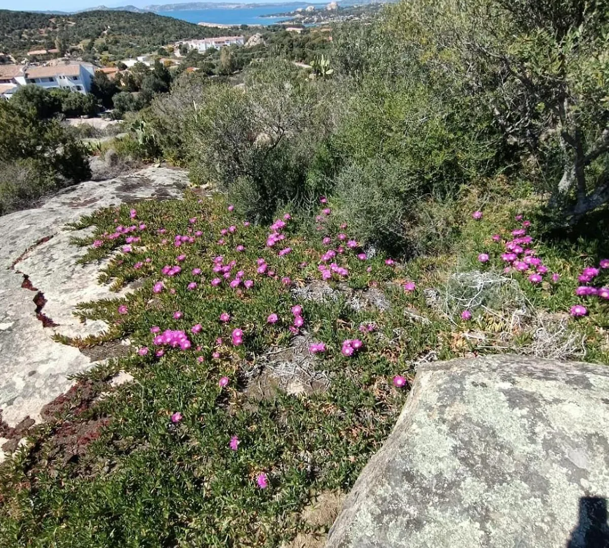 펜션 Villetta La Casa Vecchia Baja Sardinia Cala Bitta 이탈리아