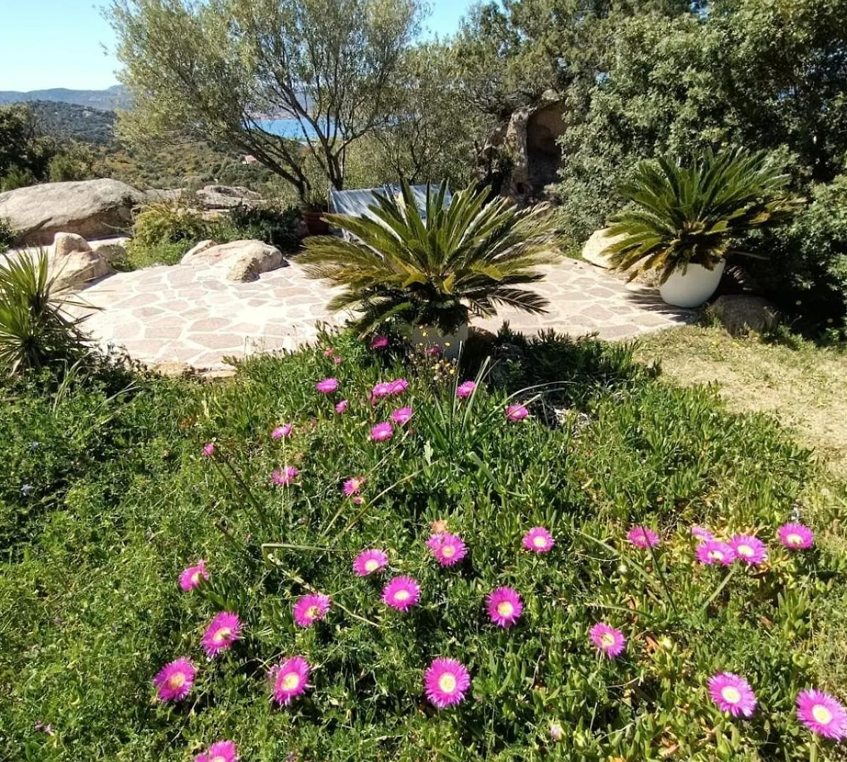 펜션 Villetta La Casa Vecchia Baja Sardinia Cala Bitta