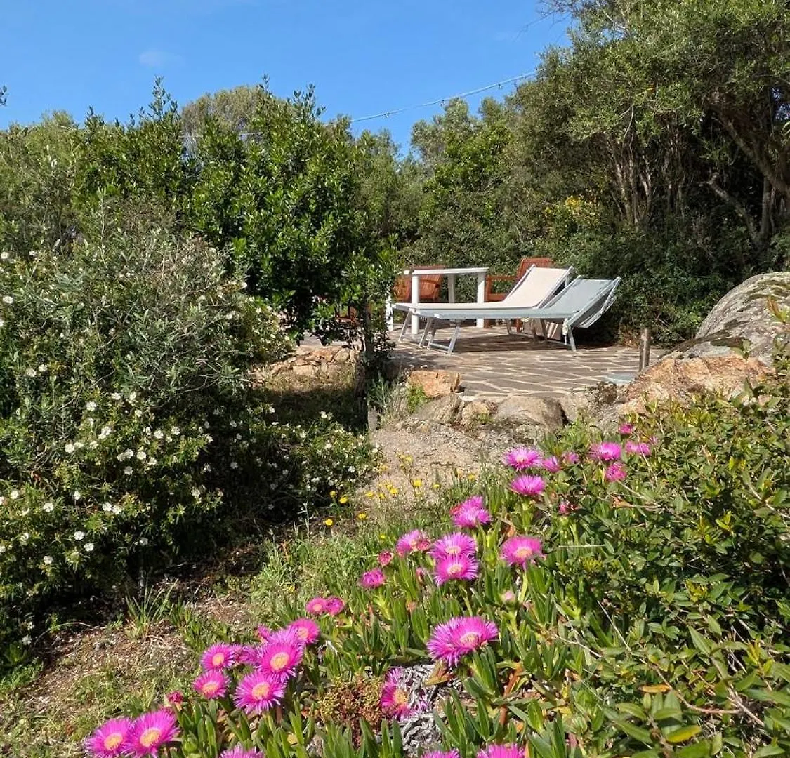 Villetta La Casa Vecchia Baja Sardinia Cala Bitta 0*,  이탈리아